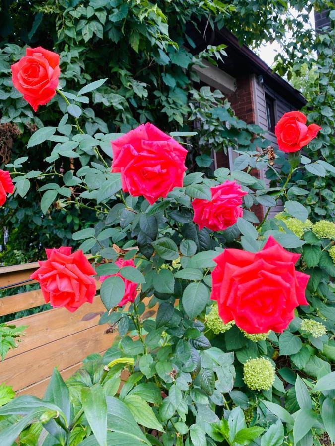 Lovely II Space Share A Room East York Canada Toronto Bagian luar foto