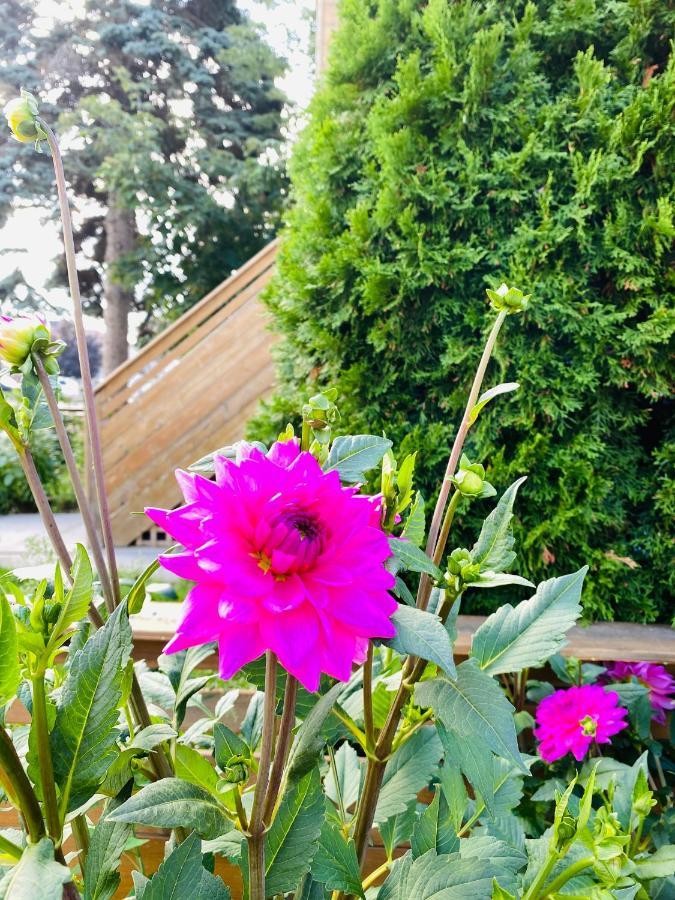 Lovely II Space Share A Room East York Canada Toronto Bagian luar foto